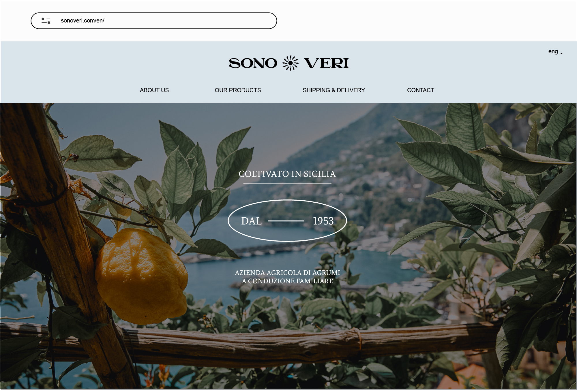 Sonoveri - Webdesign