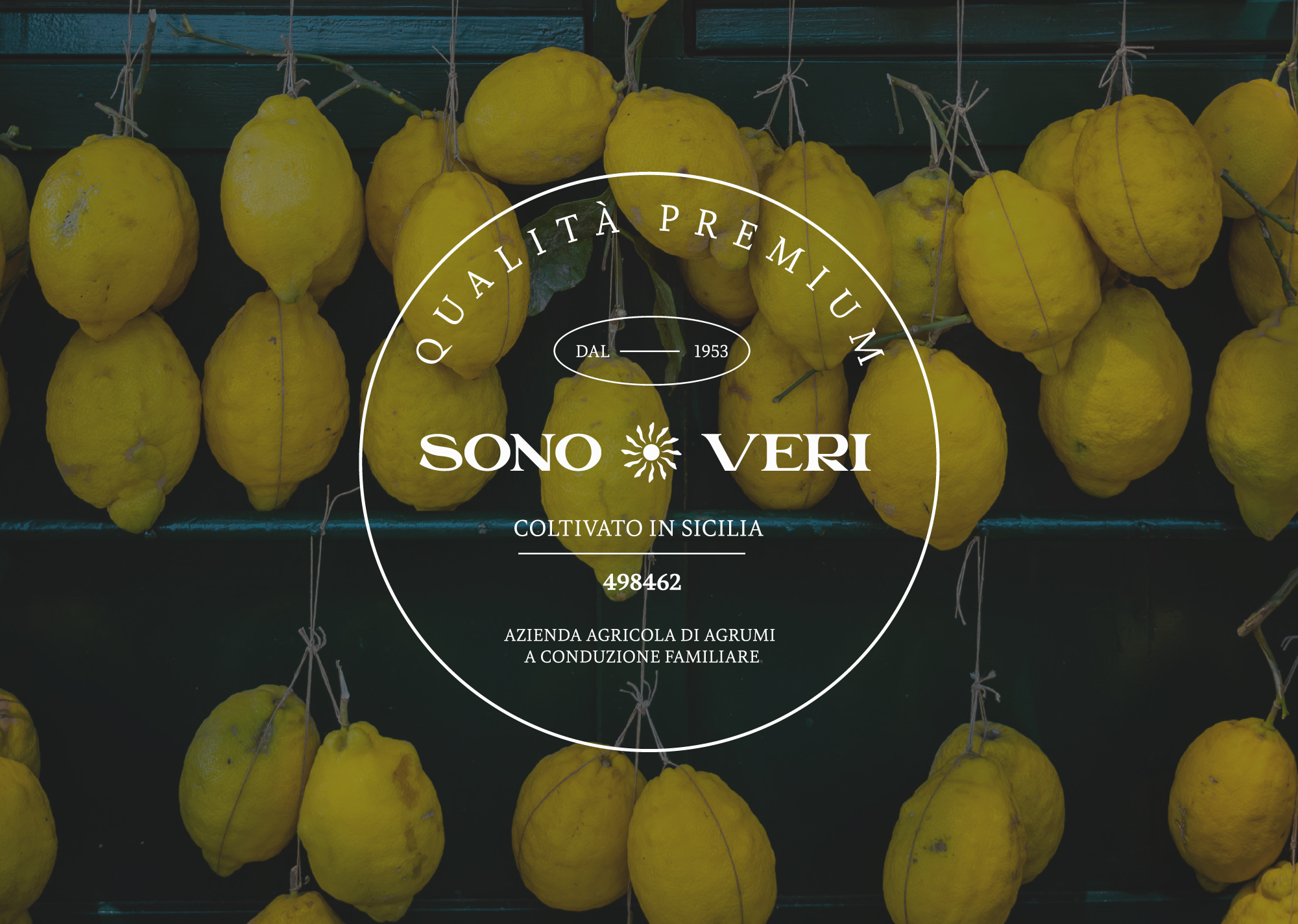 Sono Veri - Logo