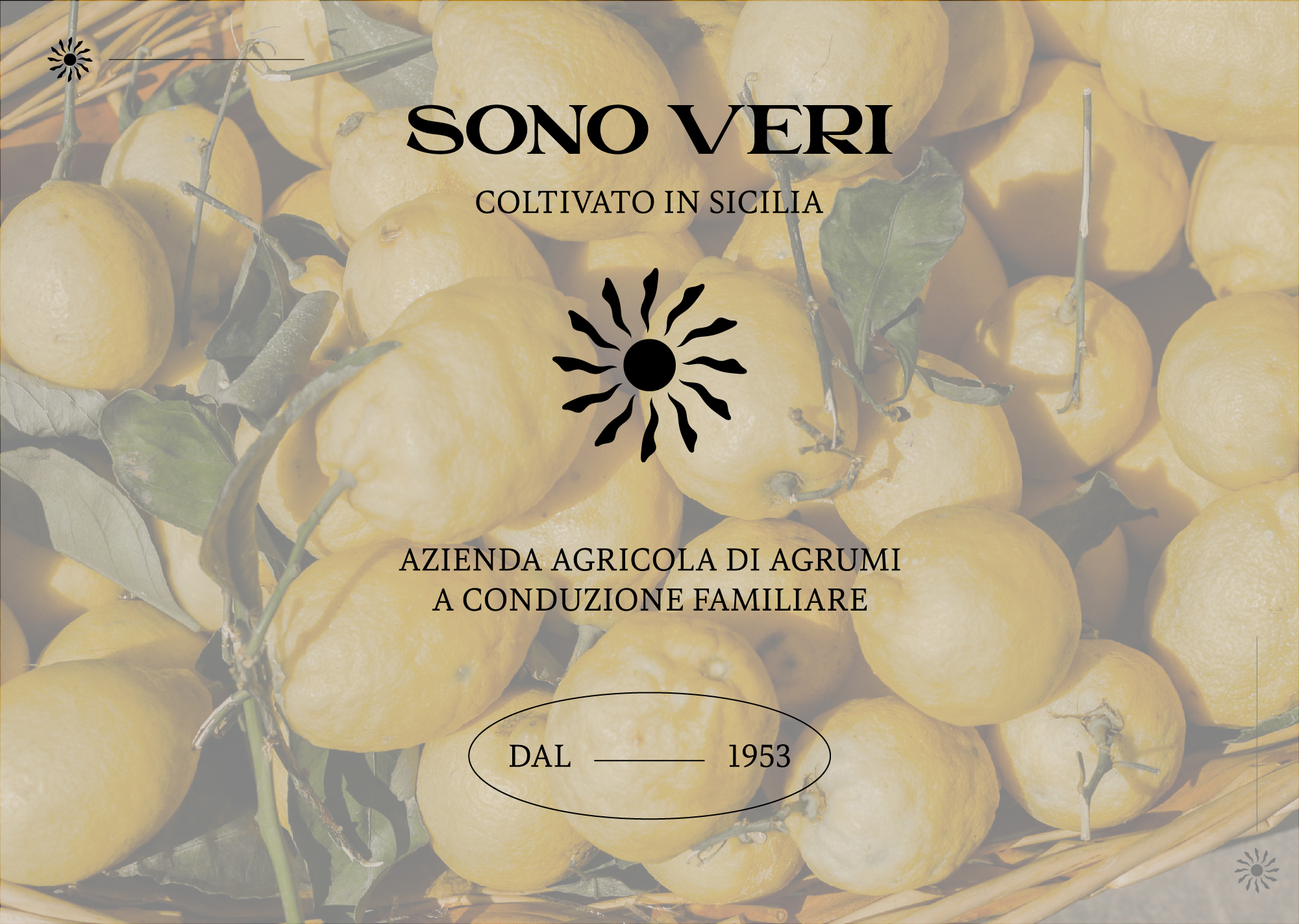 Sono Veri - Logo